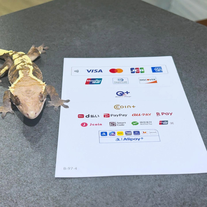 画像235
