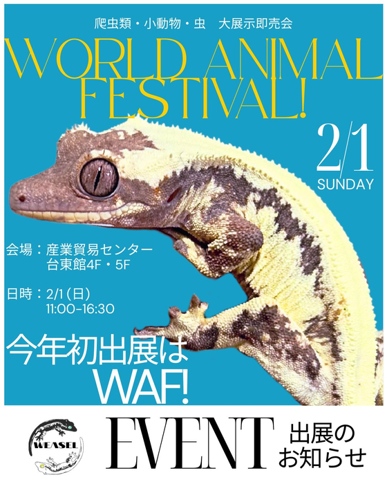 画像237
