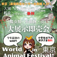 画像238