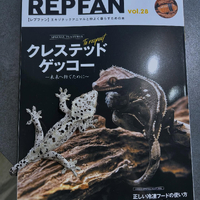 画像247