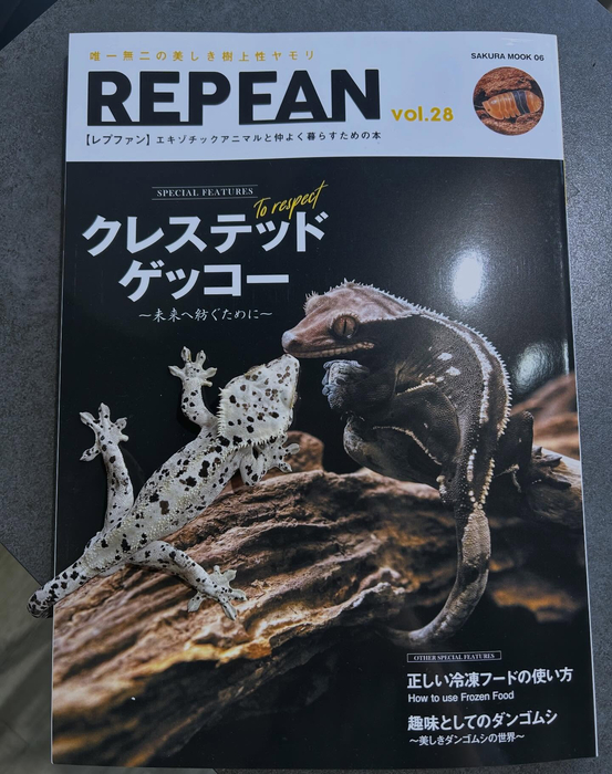 画像247