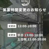 画像288