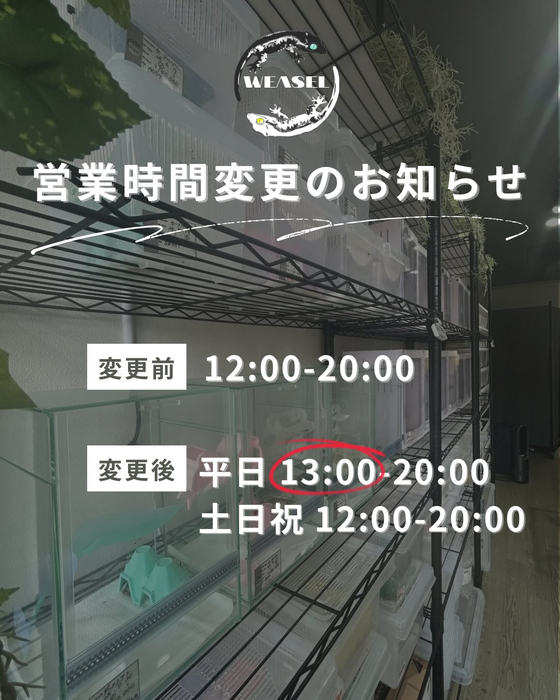 画像288