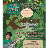 画像316