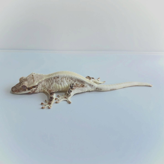 画像340