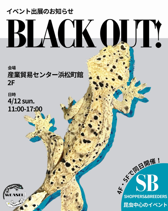 画像342