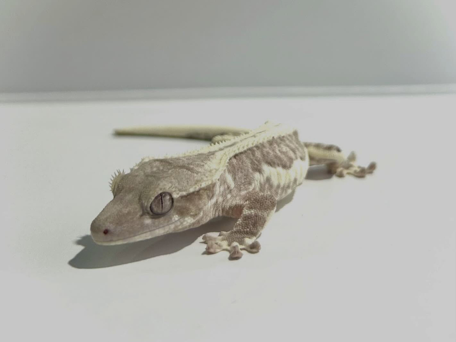 画像353