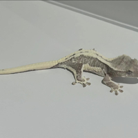 画像354