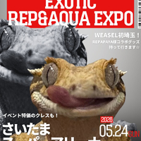 画像398