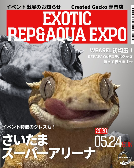 画像398