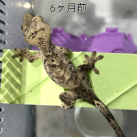 画像436