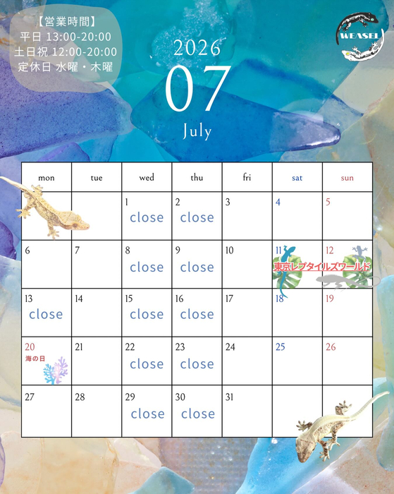 画像448