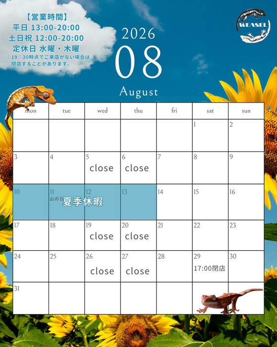 画像507