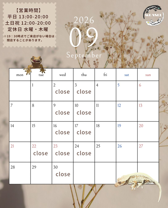 画像579