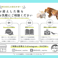 画像589