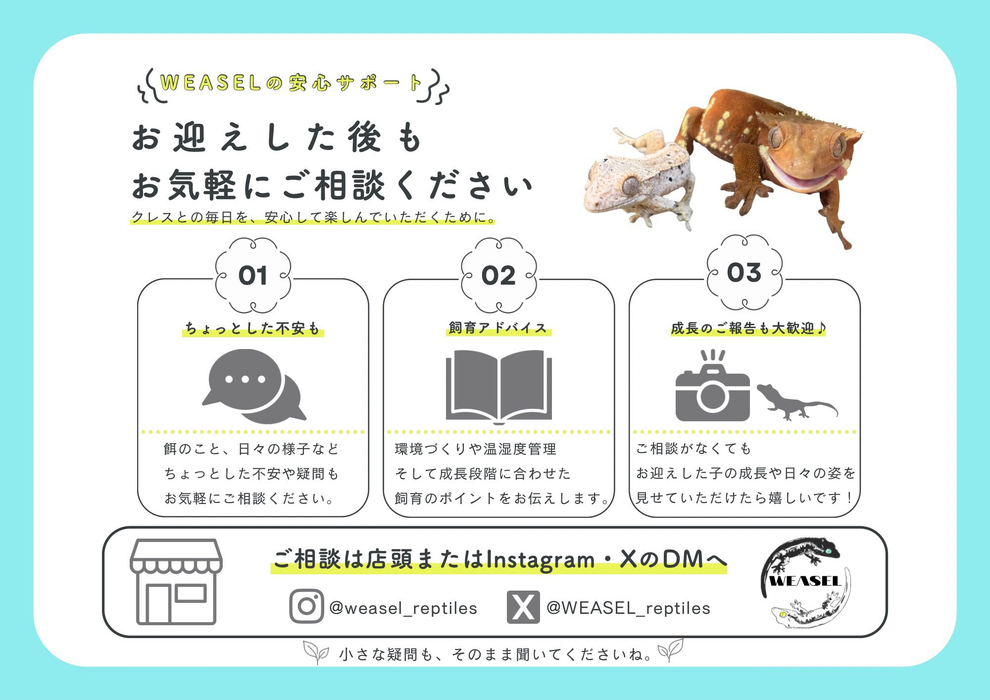画像589