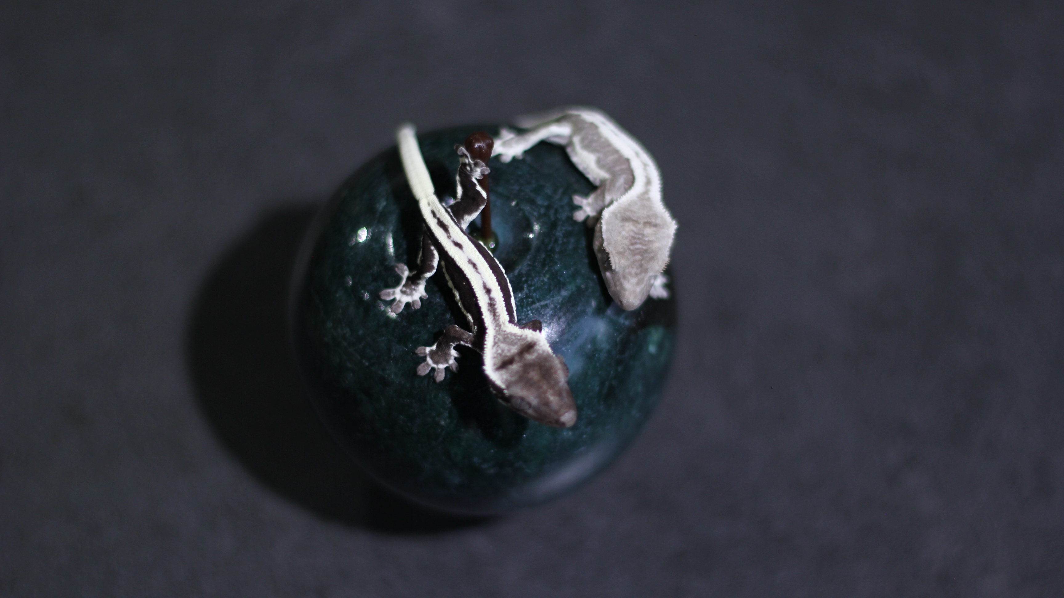 お問い合わせをしてみませんか？